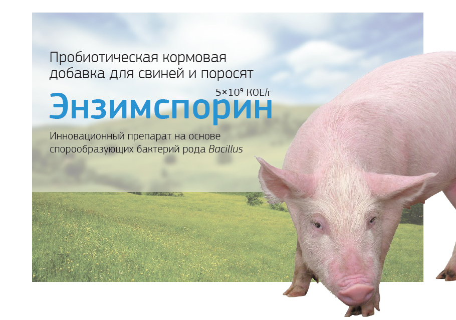 Энзимспорин для свиней и поросят